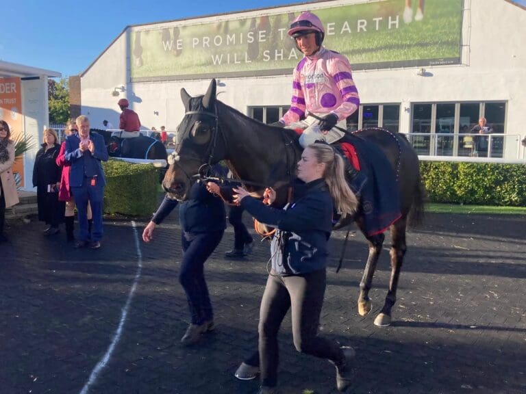 Hansard’s Death at Cheltenham Becomes 20th Fatality This Year and it’s Only March