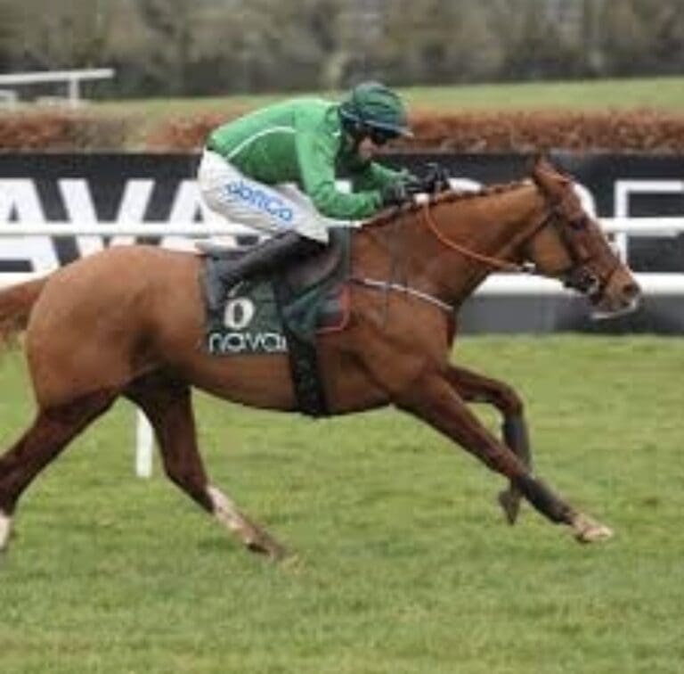 The Death of HMS Seahorse Renders Cheltenham Races a Travesty