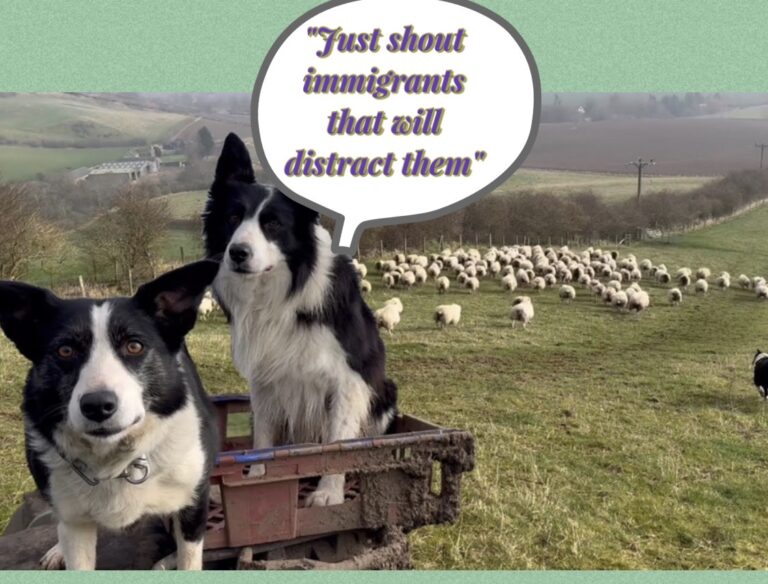 The Real Crisis Facing Britain Is Not Immigration – It Is Manufactured Ignorance