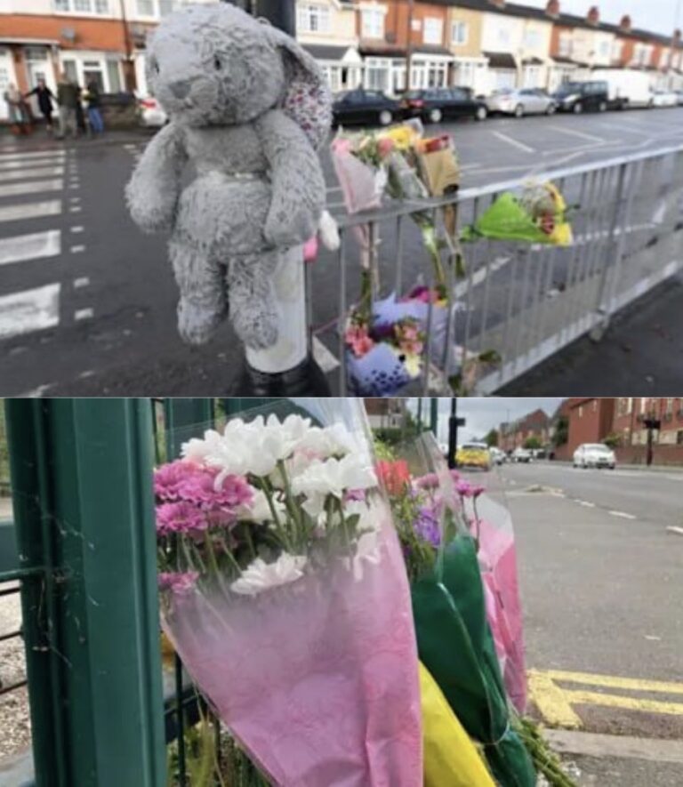 Are the Deaths of 26 Children a Year a Price Worth Paying For Abandoning 20mph Speed Controls?