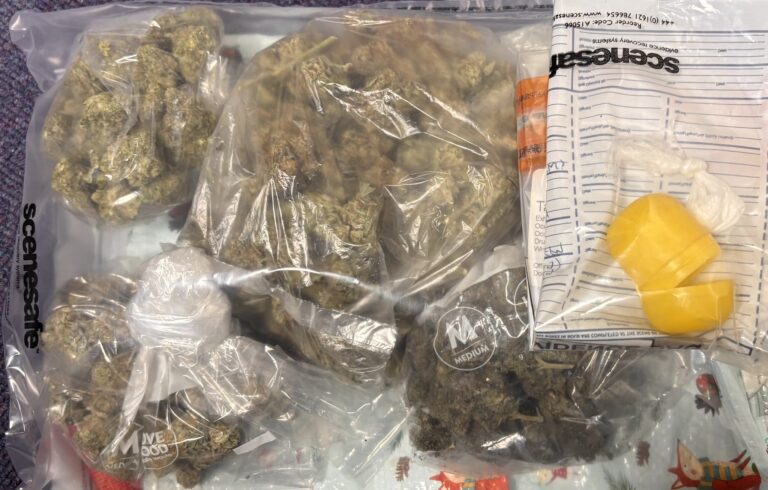 Woman Charged Following Drugs Stop in Dorchester