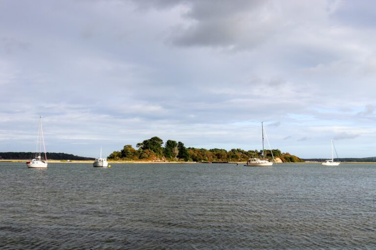 Three Men Arrested on Suspicion of Murder After Man Goes Missing From Boat in Arne Bay Near Poole